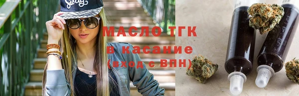 тгк Ельня