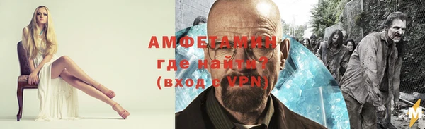 тгк Ельня