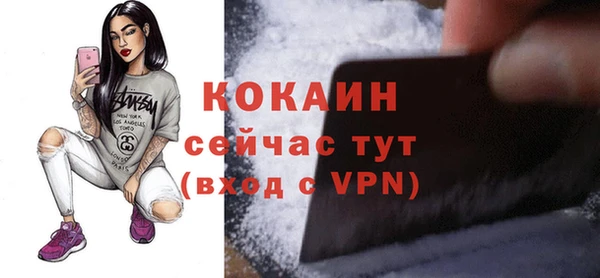 тгк Ельня