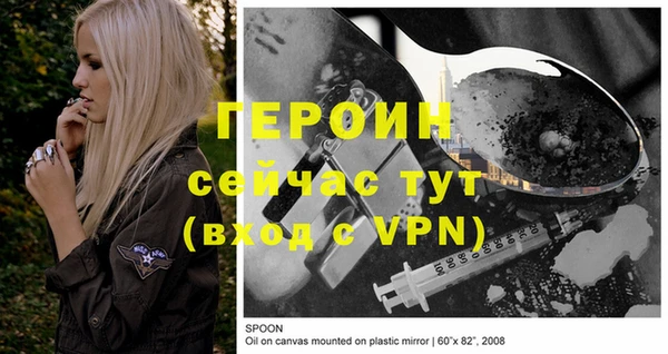 тгк Ельня