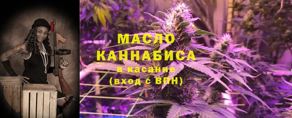 тгк Ельня