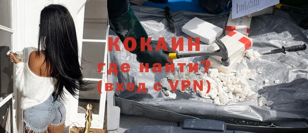 тгк Ельня