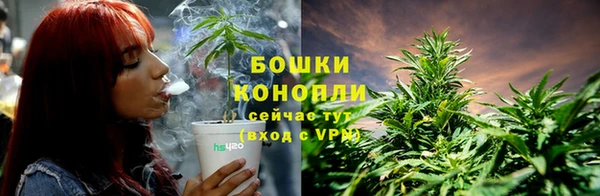 тгк Ельня