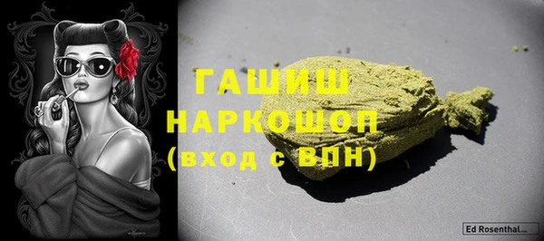 тгк Ельня