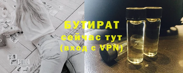 тгк Ельня