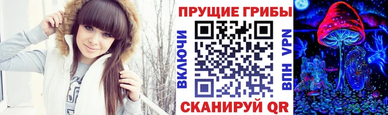 Купить  Козловка  Галлюциногенные грибы прущие грибы 